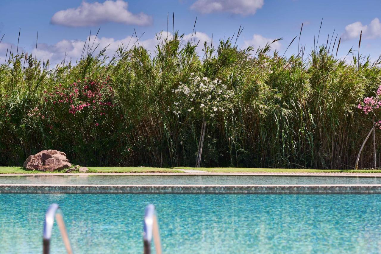 Baia Di Sardinia, Curio Collection By Hilton Chia